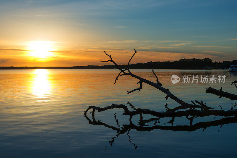 夕阳下，枯树躺在湖中