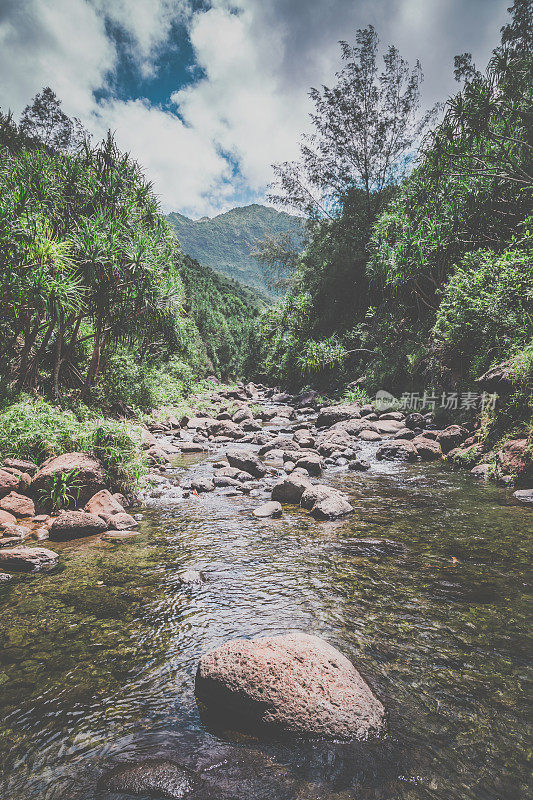 卡拉劳小径景观，纳帕利海岸州立公园，考艾岛，夏威夷