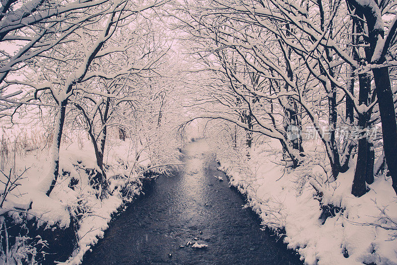 雪域中的河流