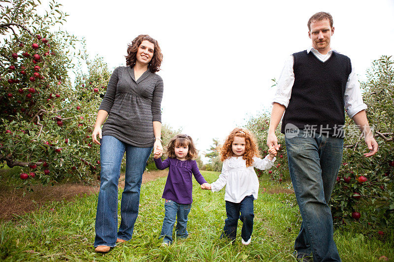 秋天，一家人在苹果园里散步