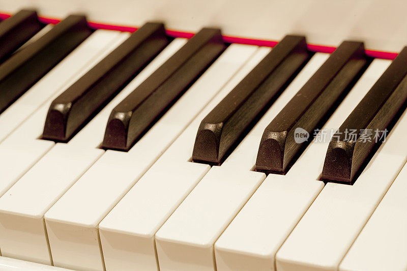 钢琴键盘上的黑白键