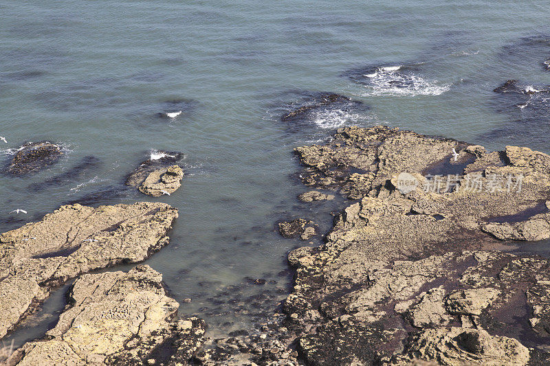 泥泞的岩石和大海