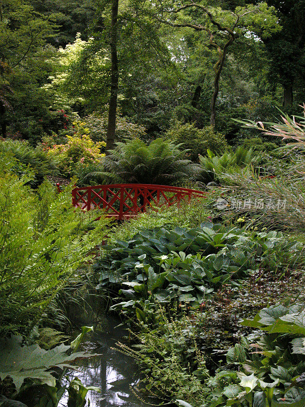 红桥花园
