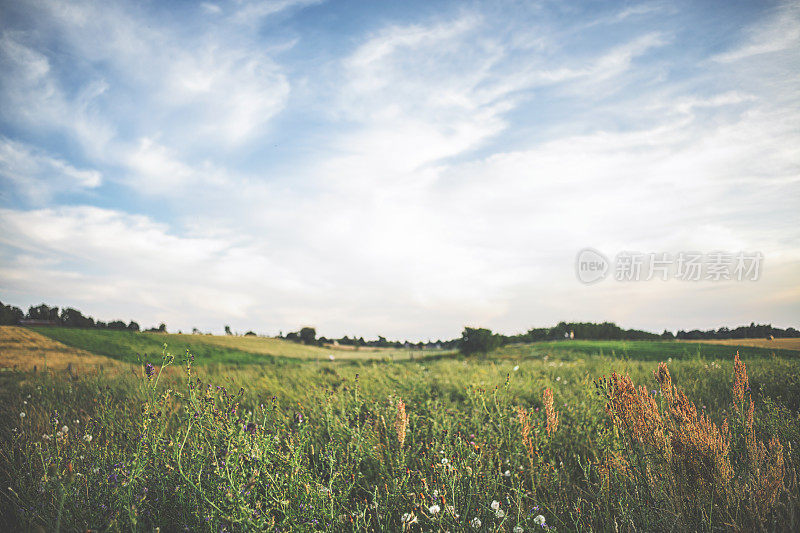 草地上的夕阳