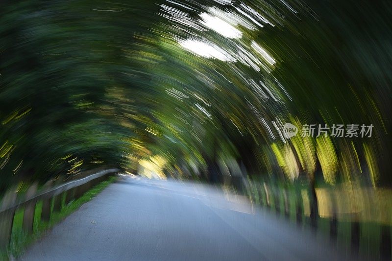 穿过公园的道路