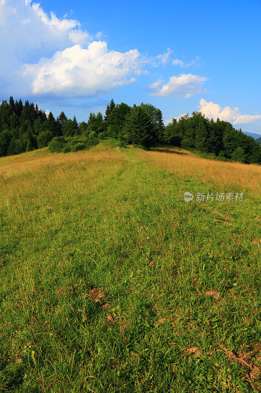 夏天在山脉。Pieniny,斯洛伐克。