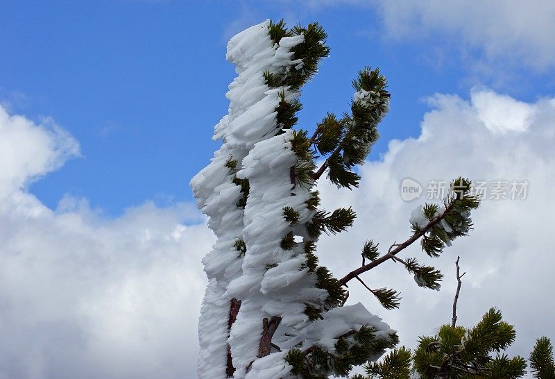 俄勒冈州的高山积雪