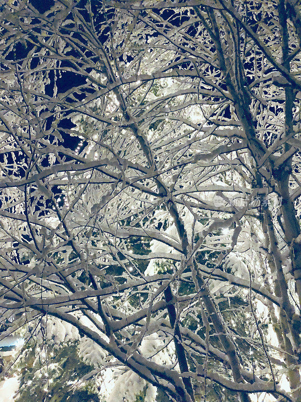 在欧洲阿尔卑斯山脉，冰雪覆盖的冬季景观和森林