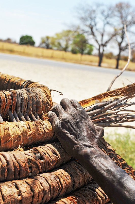 纳米比亚，一名非洲男子正在制作传统的篮子
