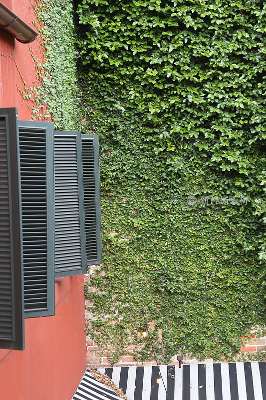 小酒馆庭院墙上的匍匐植物，复制空间