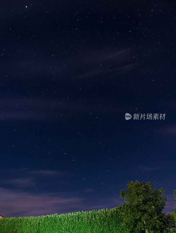 英格兰德文郡绿色田野上的星空