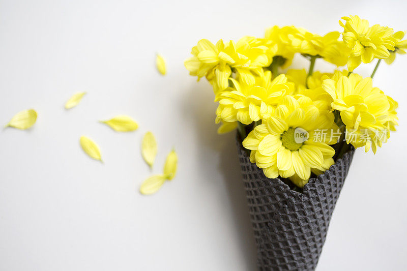 黄色的花和黑色的雪糕