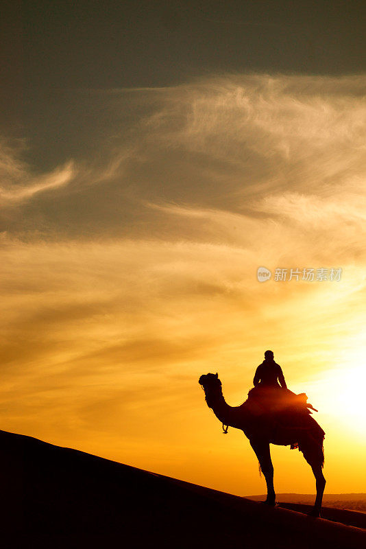 印度拉贾斯坦邦塔尔沙漠上的骆驼骑士观