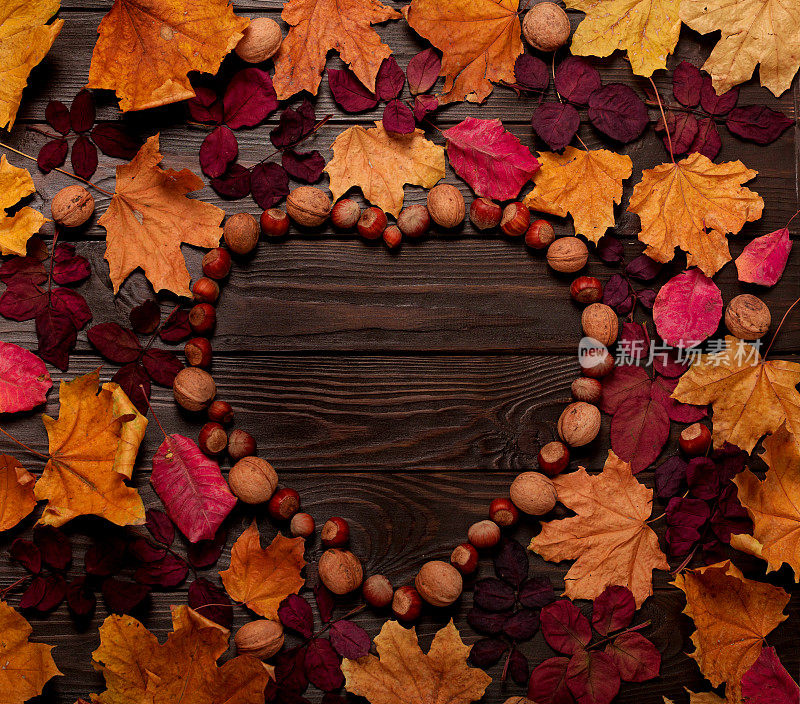 平面布局框架的形式，一个心的秋天深红色和黄色的叶子，榛子和核桃在黑暗的木制背景。
