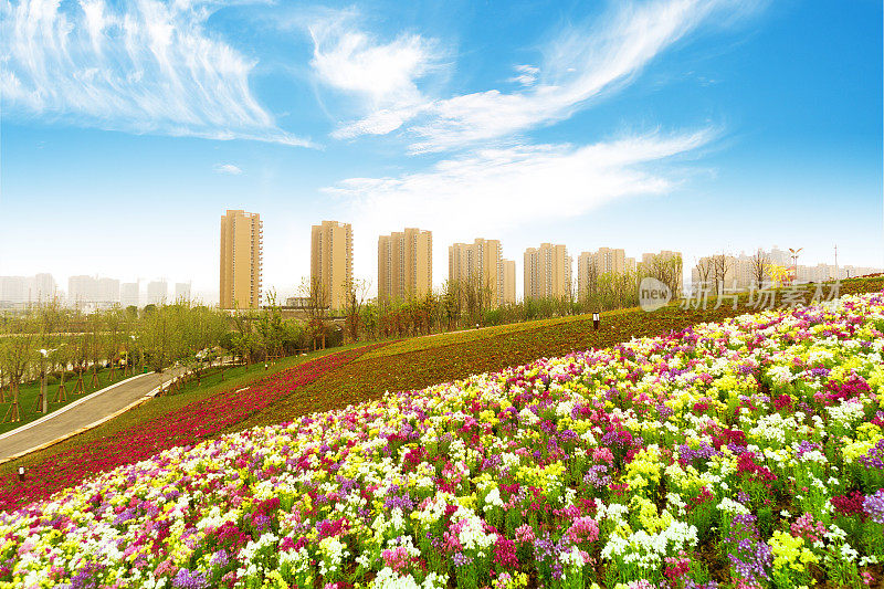 中国浙江杭州，休闲和高层建筑的大众。