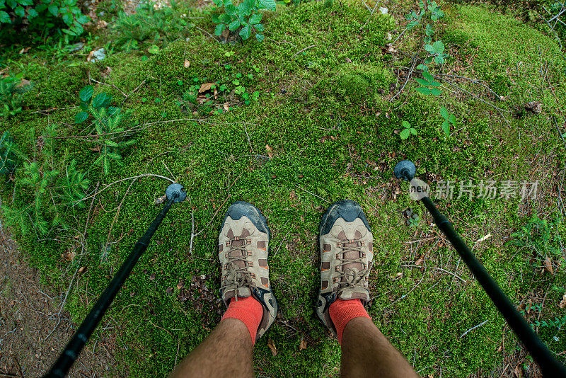 在森林中穿着登山靴和登山杖的旅行者的腿