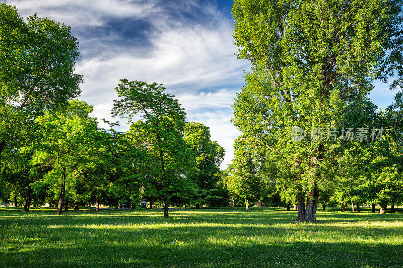 城市里有草坪和树木的绿色公园