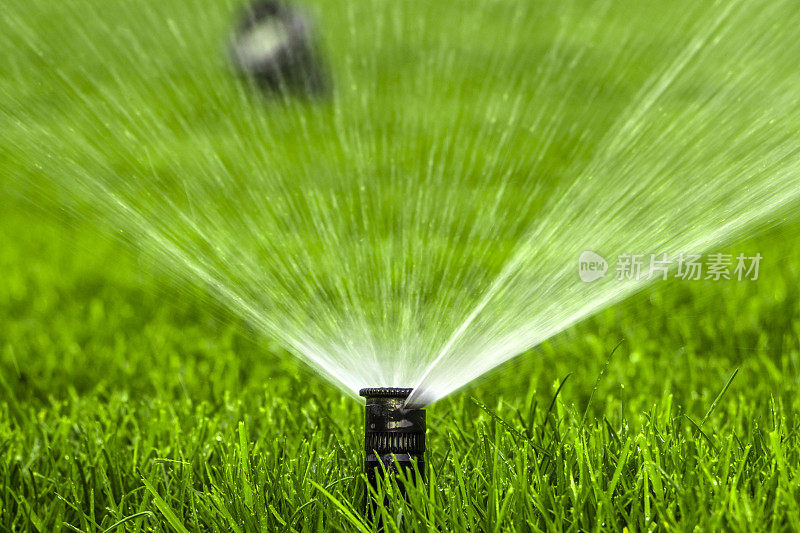 自动洒水系统浇灌草坪在绿色的草的背景