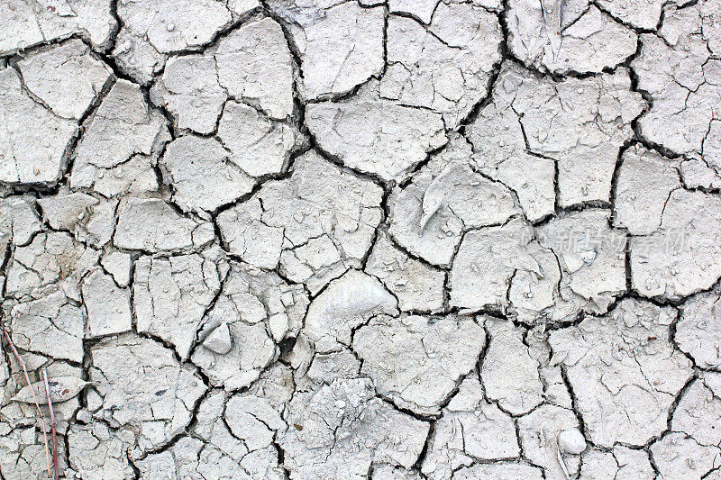 干燥,开裂。干裂土质地和旱季背景(灰度图)