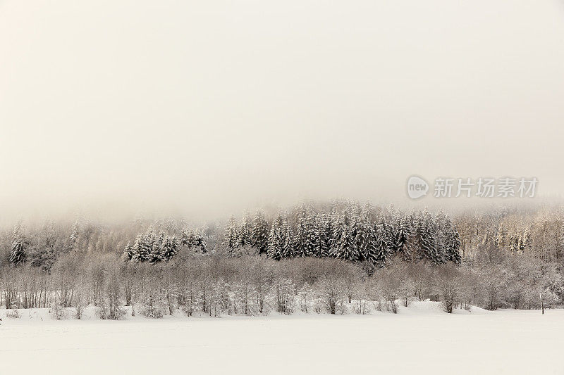 冬天，湖面被雪覆盖。