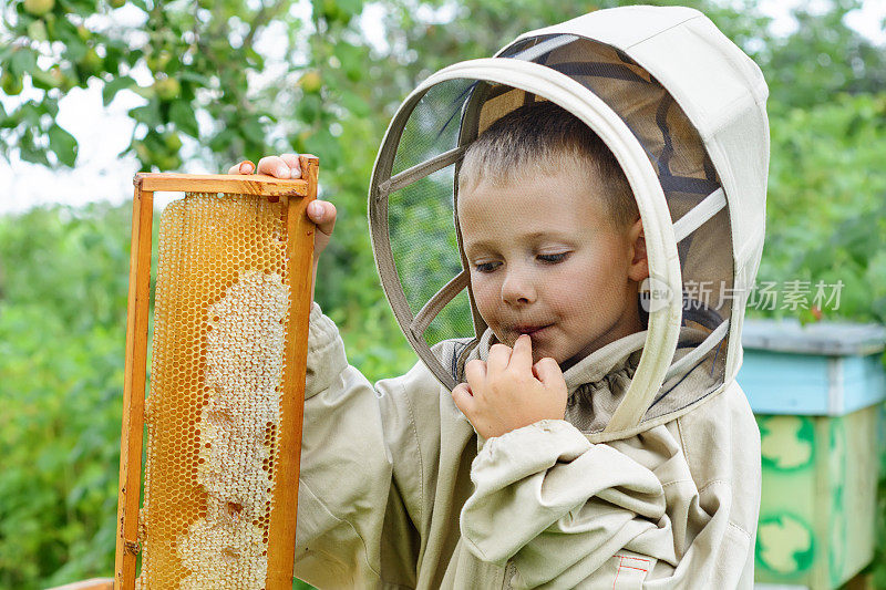 小养蜂人从蜂房的蜂房里保存新鲜的蜂蜜。新鲜蜂蜜养蜂。