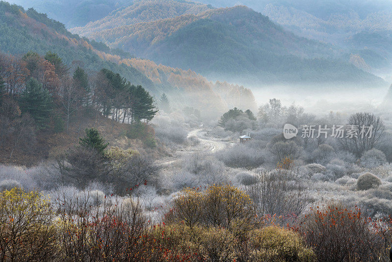 秘密花园2