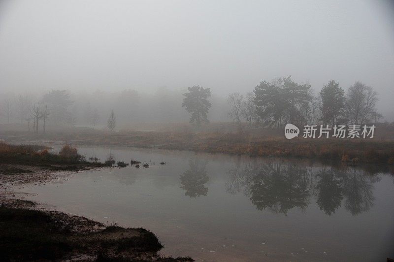 水边雾蒙蒙的早晨