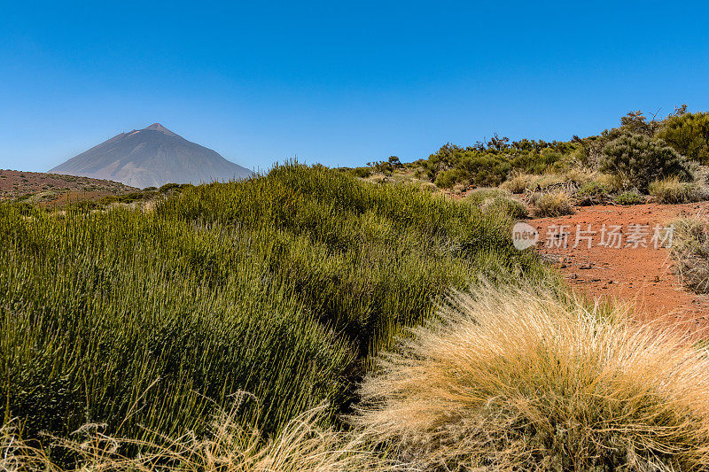 Teide山景观，Teide火山和Teide国家公园的熔岩风景-特内里费，西班牙