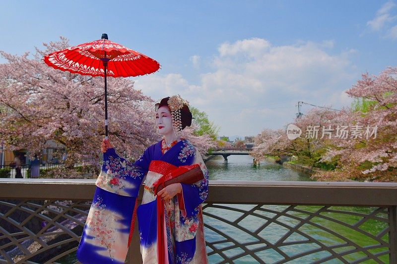 穿着美子服饰的日本女人在京都的桥上欣赏樱花