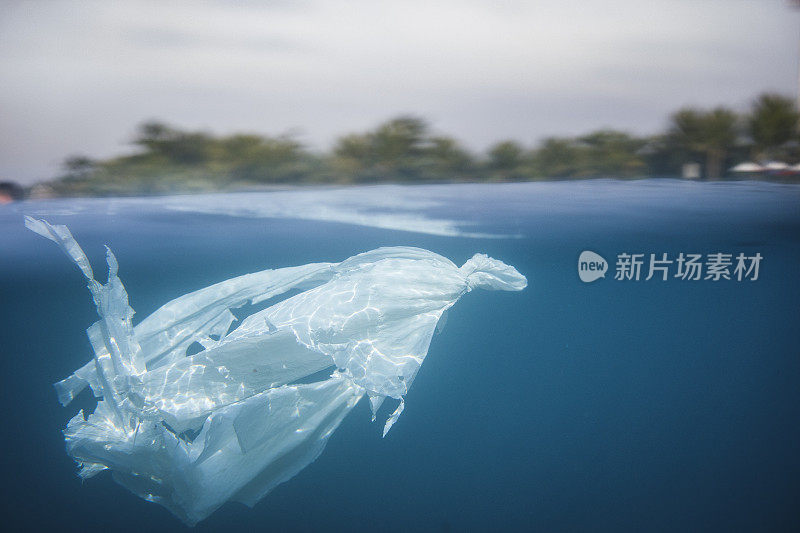 塑料袋在海里