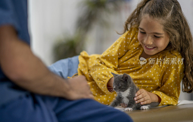 小女孩带着小猫去看兽医