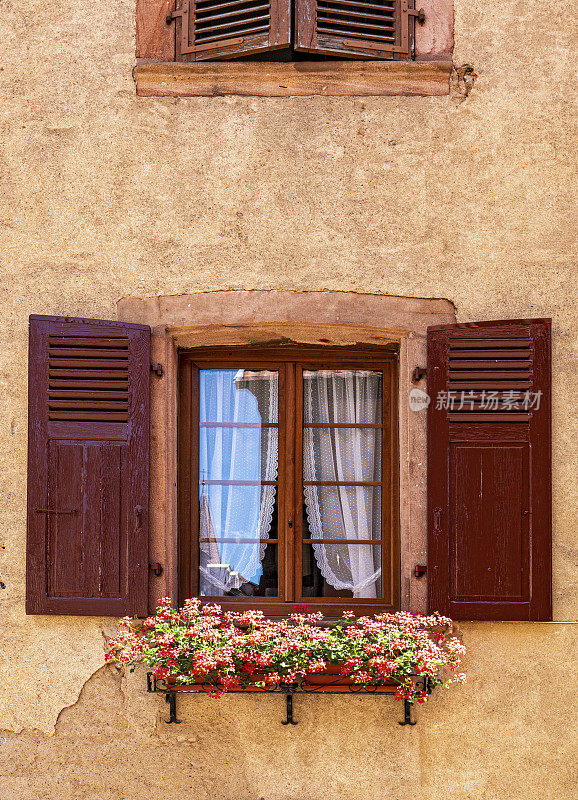 法国东部村庄Kintzheim(阿尔萨斯)的房子façade上的花