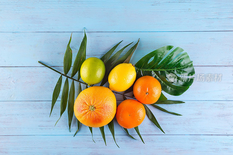 柑橘类水果橙子，柠檬，柚子，柑橘，酸橙在棕榈叶上的蓝色木质背景，俯视图