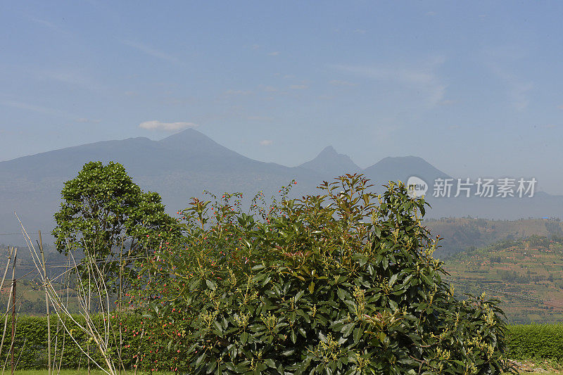 鲁洪多湖在维龙加火山山脉脚下-卢旺达