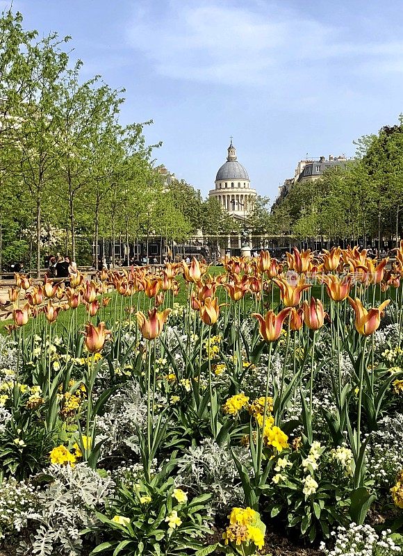 鲜花盛开，Panthéon在背景