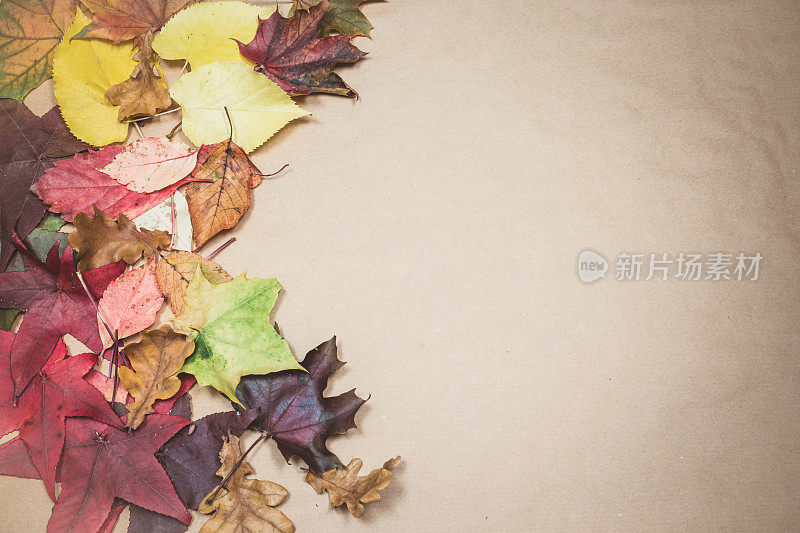 平铺的秋天与彩色的树叶组成