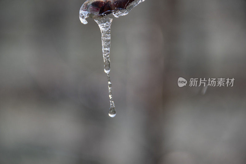 防冻果园