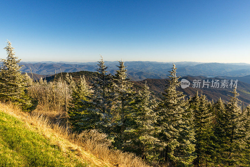 来自克林曼斯圆顶的大烟山