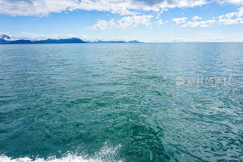 威廉王子声海景