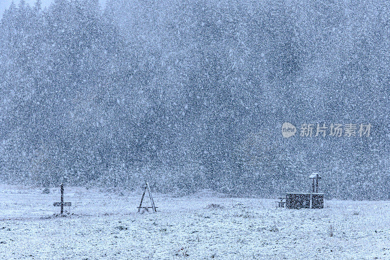 暴风雪中高山森林中的空地