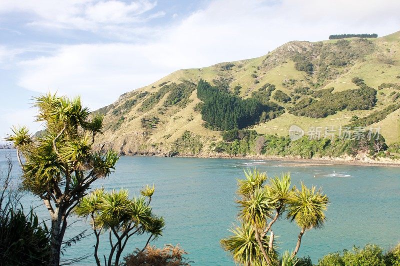 海景，电缆湾，纳尔逊，新西兰