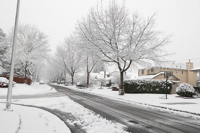 温哥华大都会街区的雪景