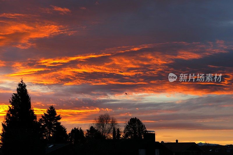 2021年圣诞节前夕。太阳升起时，村子上空有多云的红色天空。巴伐利亚,德国。