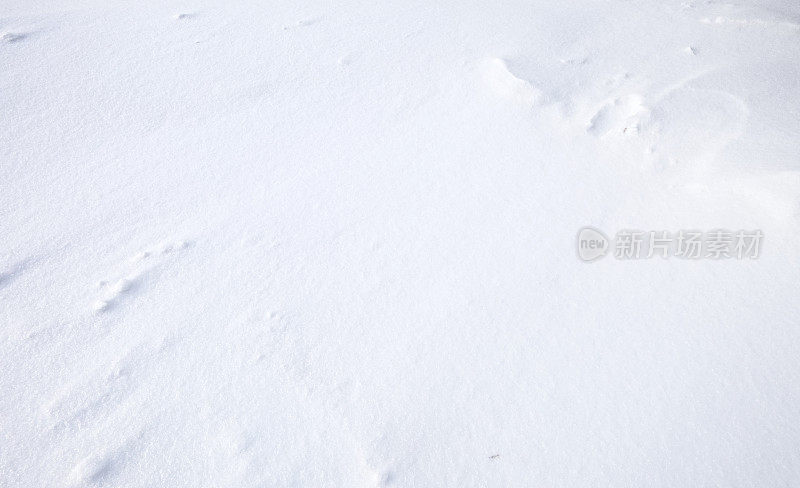 雪的背景