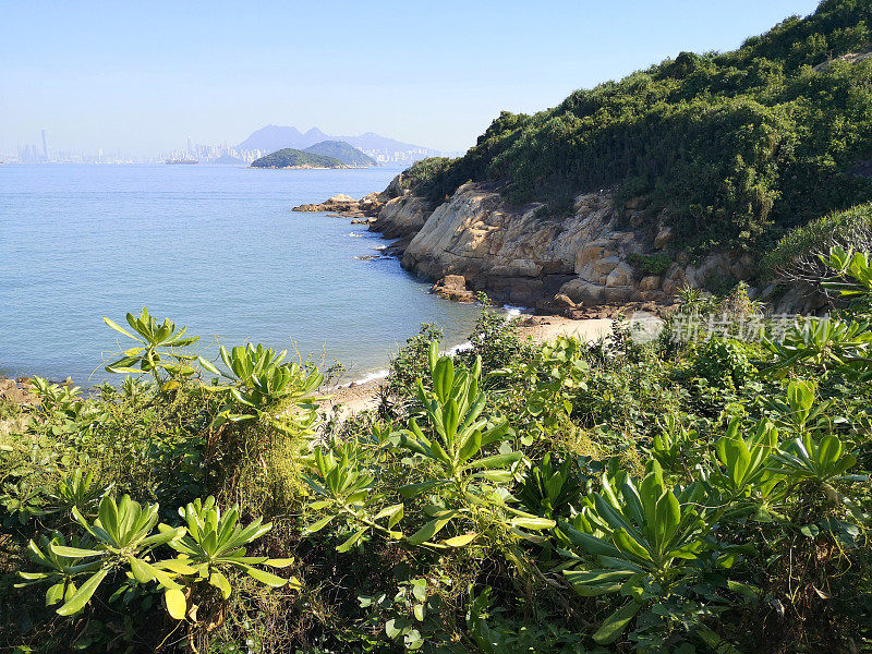 香港坪洲的热带丛林和海景