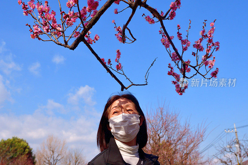 日本女子在东京公园享受梅花盛开的季节