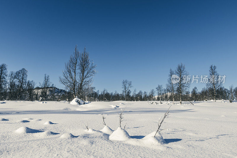 挪威Senja岛的冬季雪景