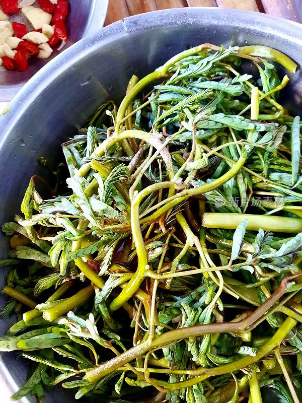 含羞草蔬菜-泰国菜制作。