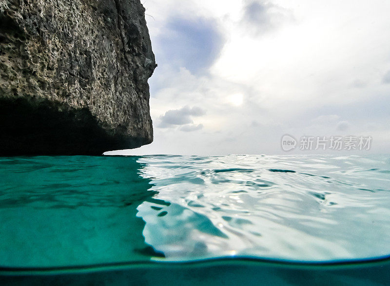 热带加勒比海底生物，上面有悬崖