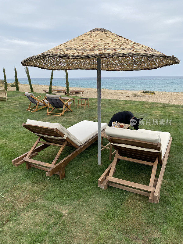 海边，房子，假期，躺椅，海滩，伊兹密尔，土耳其